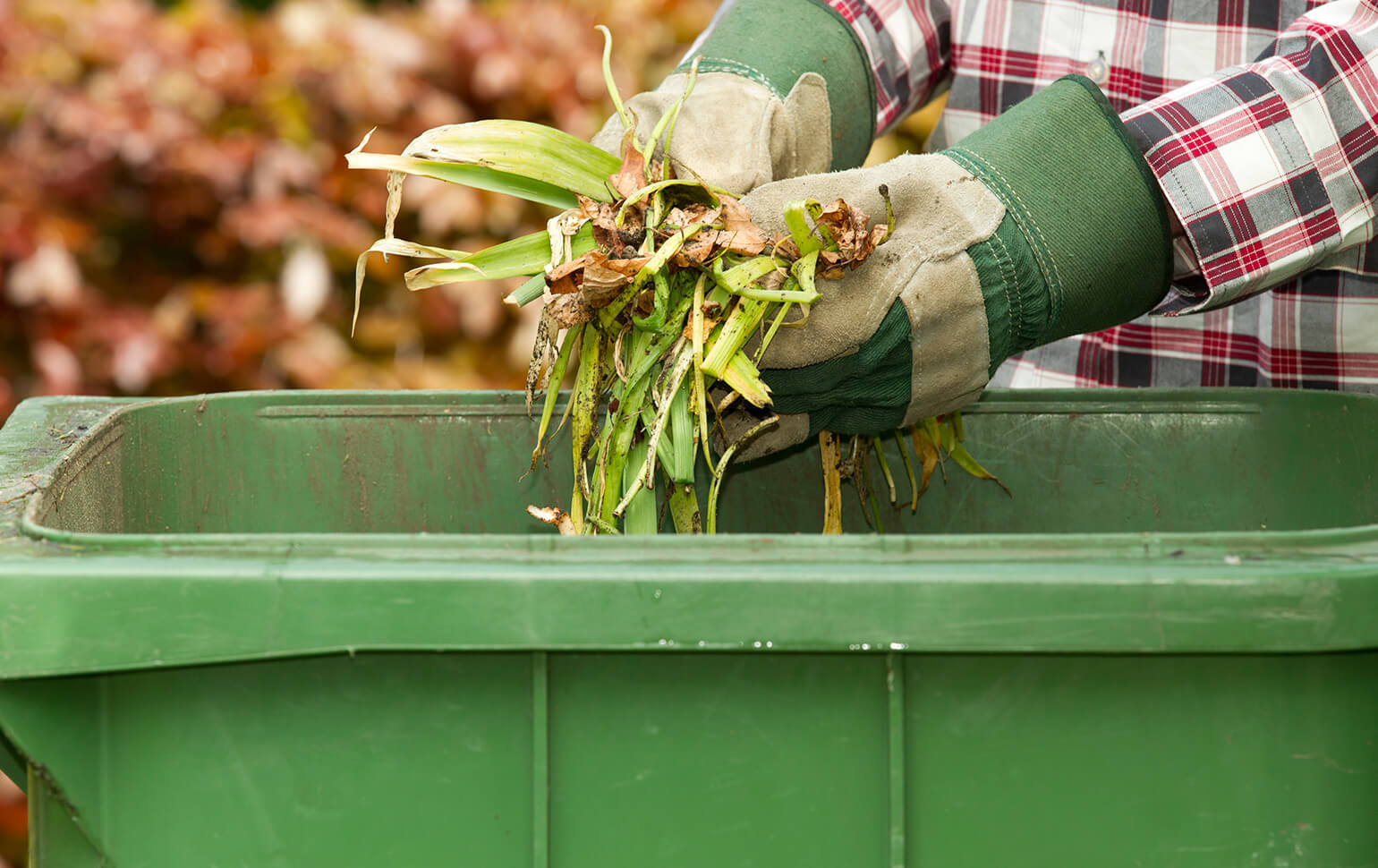 Don’t mistake compost for manure.